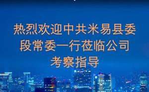 熱烈歡迎中共米易縣委段常委一行蒞臨公司考察指導